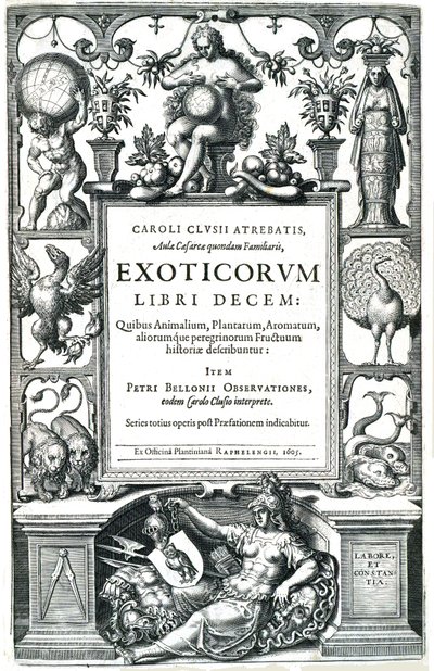 Exoticorum Libri Decem by Carolus Clusius